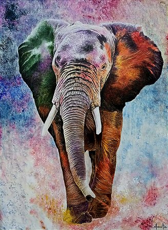 Elefante