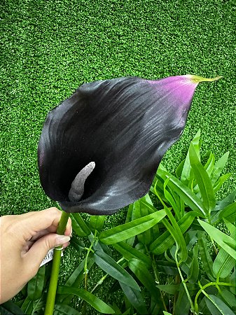 GALHO COPO DE LEITE 63CM ROXO 128524