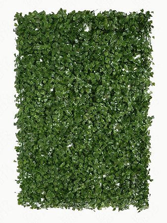 PLACA DE GRAMA 40X60CM EUCALIPTO VERDE 12939