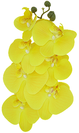 ORQUIDEA ARTIFICIAL SILICONE TOQUE REAL AMARELO X7 75CM 128826