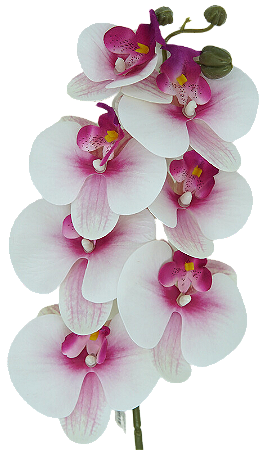 ORQUIDEA ARTIFICIAL SILICONE TOQUE REAL ROSA BRANCO X7 75CM 128829