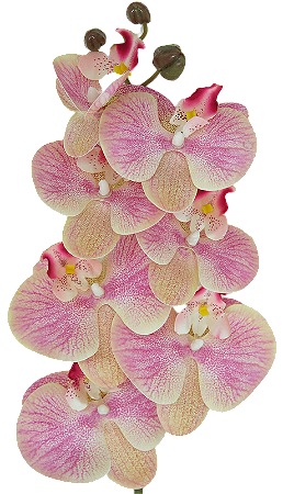 ORQUIDEA ARTIFICIAL SILICONE TOQUE REAL ROSA CLARO X7 75CM 128830