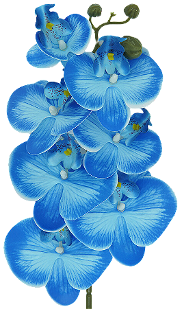 ORQUIDEA ARTIFICIAL SILICONE TOQUE REAL AZUL CELESTE X7 75CM 128831