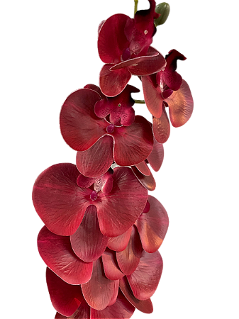 ORQUIDEA SILICONE TOQUE REAL X9 110CM MARSALA 12941