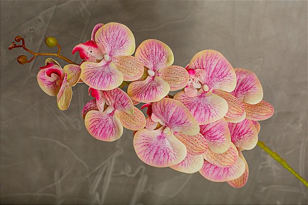 ORQUIDEA SILICONE TOQUE REAL ROSA CLARO X9 110CM 12941RC