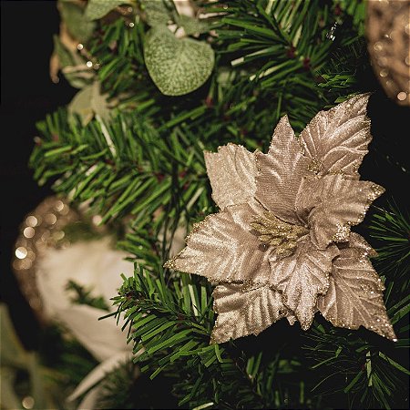 FLOR DE NATAL POINSETIA CHAMPANHE NUDE AVELUDADA 20CM 9974C