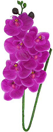 HASTE ORQUÍDEA LUXO ROSA FUCSIA X7 70 CM 129710