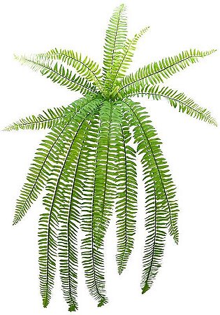 BUQUE SAMAMBAIA COMPRIDA LUXO 90CM X15 129918