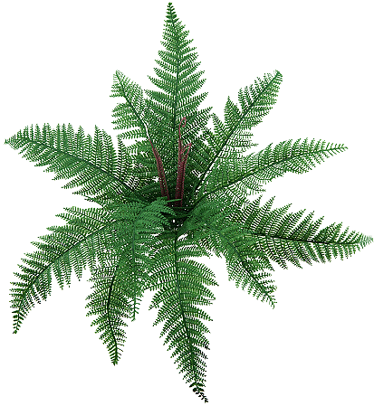 BUQUE SAMAMBAIA RENDA PORTUGUESA X11 55CM 129919