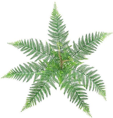 SAMAMBAIA RENDA PORTUGUESA X 9  40 CM 129909