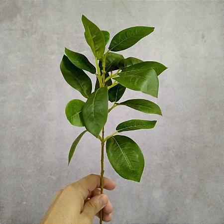 GALHO GAMELEIRA VERDE 38CM 130088