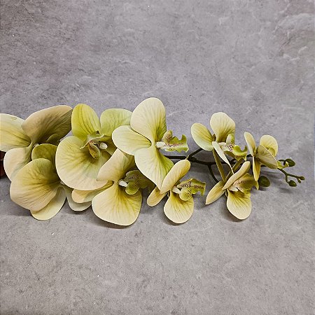 HASTE ORQUIDEA 3D GRANDE X9 - VERDE AGUA