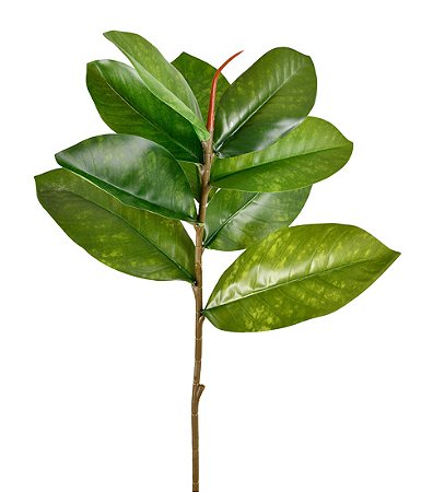 HASTE ARTIFICIAL FOLHAS DE CARVALHO X10 VERDE