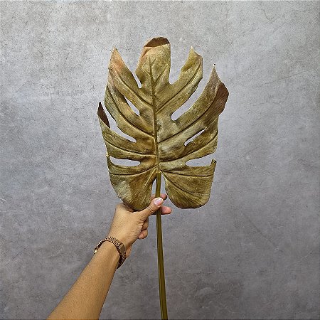 HASTE FOLHA MONSTERA DESIDRATADA 83CM - VERDE ENVELHECIDO