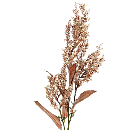 SORGO CAMPESTRE DESIDRATADO 70CM ROSA OUTONADO 131395