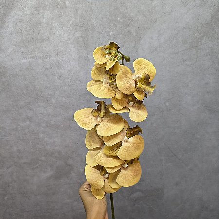 HASTE ORQUIDEA 3D GRANDE X9- CHAMPANHE 105 CM 131426
