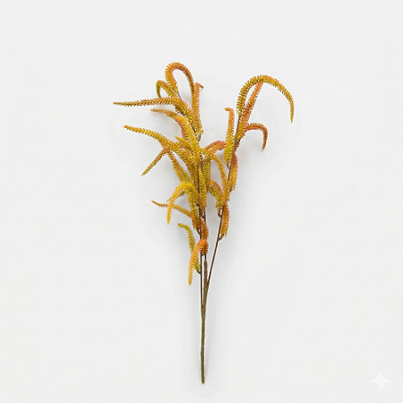 HASTE CATTAIL X3 65 CM -OUTONADO 131464