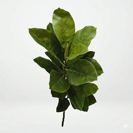 GALHO DE MAGNOLIA TOQUE REAL X29  VERDE 1,05CM -131631