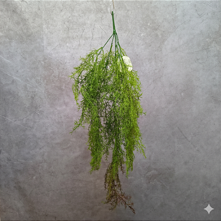 PENDENTE DE GRAMA X5 78CM - VERDE OUTONO 131461