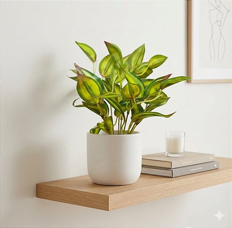 BUQUE FORTUNA X6 VERDE 30CM-132051