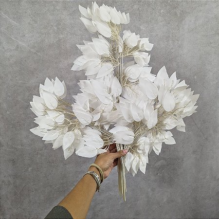 GALHO DE FICUS 60CM BRANCO C/12