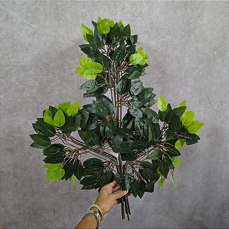 GALHO DE FICUS 60CM VERDE C/12
