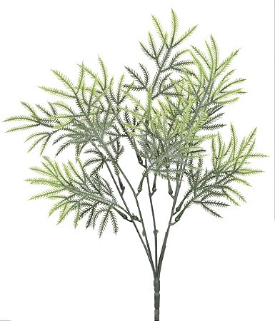 KIT C10 BUQUES DE CAPIM SILVESTRE X5 38CM VERDE