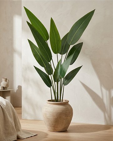 PLANTA VASO FOLHA STRELITZIA X12 REAL VERDE
