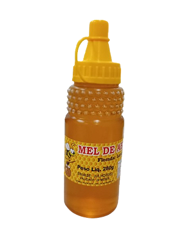 Mel De Abelhas 100% Puro Bisnaga 280g - Florada Laranjeira