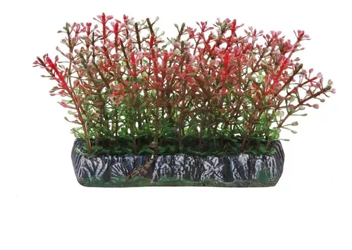 PLANTA PLASTICA SOMA TAPETE ALTERNANTHERA VERDE VERMELHA 10CM