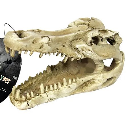 Enfeite de resina - Crânio de crocodilo NOMOYPET NS-60 13 8X8 5X6 CM
