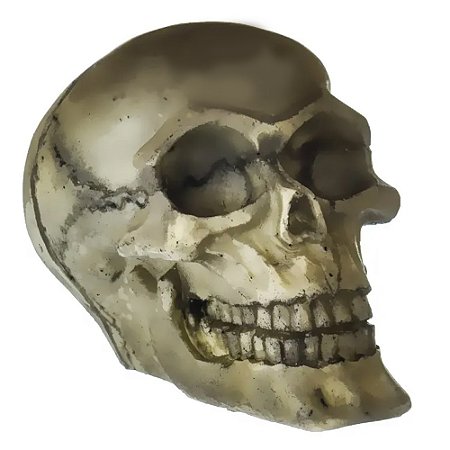Enfeite de resina - Caveira NOMOYPET NS-104 4X6X5CM