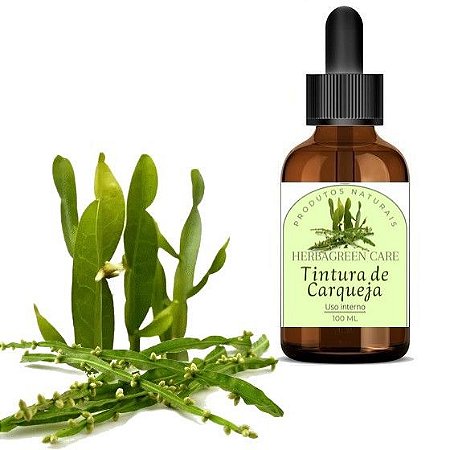 TINTURA VEGETAL DE CARQUEJA - 100ML