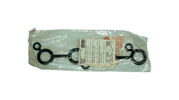 Junta Tampa de Válvula Sabo 75923