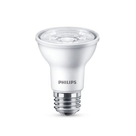 LED PAR20