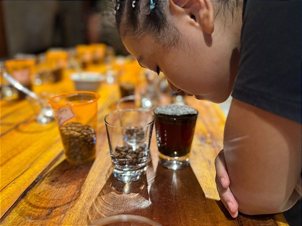 Nanolote de Edição Limitada Café Canephora Jequitibá - 250gr em grãos