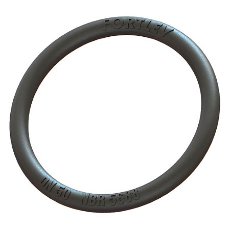 Anel de vedação esgoto 100mm FORTLEV PACOTE C/25
