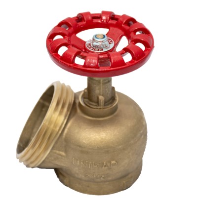 Registro globo angular 45° em ferro 2.1/2"- pn 16-28556