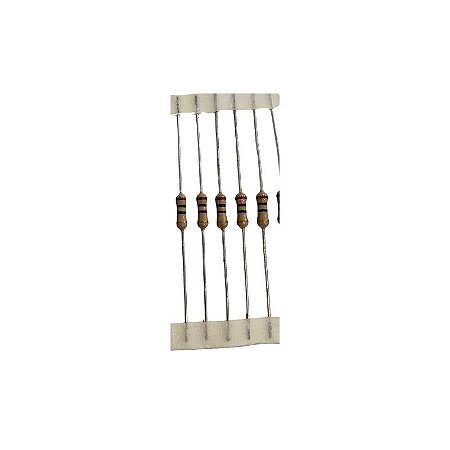 Resistor 10M 1W 5%