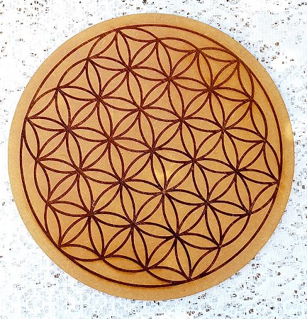 MANDALA FLOR DA VIDA MOLDURA