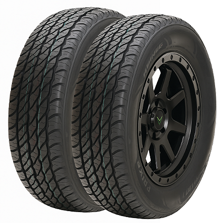 Kit 2 Pneus Aro 15 205/70R15 PRINX HA1 96T