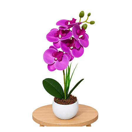 Arranjo Orquidea Roxo Efeito 3D Realista Com Vaso Musgo Natural Pronto