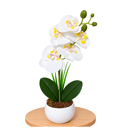 Arranjo Orquidea Branca Efeito 3D Realista Com Vaso Musgo Natural Pronto