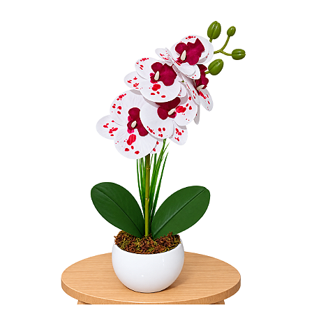 Arranjo Orquidea Branca Tigre Pintada Efeito 3D Realista Com Vaso Musgo Natural Pronto