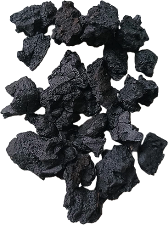 EXTRATO DE NOGUEIRA GRANULADO - 1KG