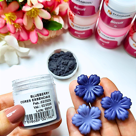Corante em Pó Saramanil Blueberry 7g