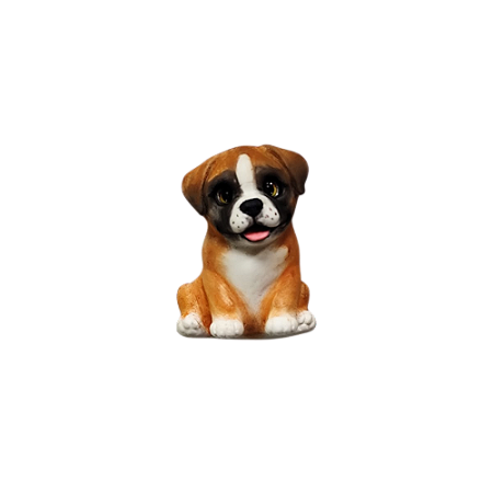Molde Boxer P