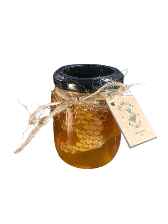 Favo de Mel - Florada do Café -300g