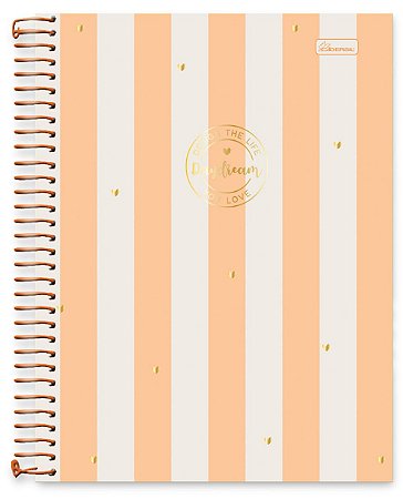 Caderno + Planner Universitário 10 matérias Daydream Cadersil Laranja