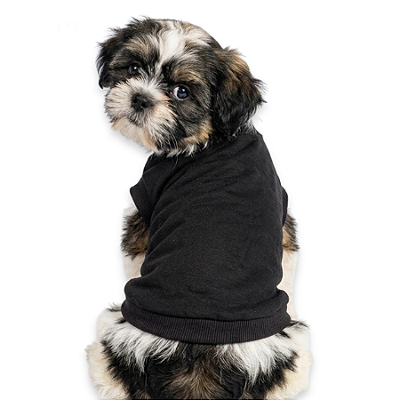 Roupa Pet Camiseta Cachorro PP ao EXG - Pretinha Básica